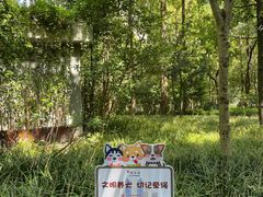 -徐家汇源景区-衡山公园