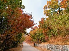 -北京西山国家森林公园