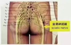 -名发世家烫染