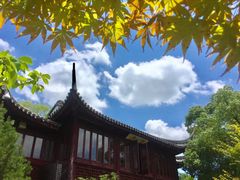 -荷塘月色湿地公园·向阳花洲