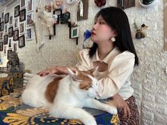 -平行世界·猫咖(首经贸店)