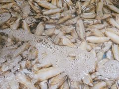 -鑫渔港海鲜本地菜·山海关浑锅(东戴河店)