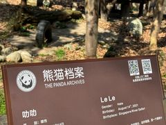 -都江堰中华大熊猫苑