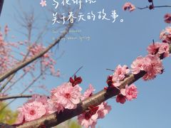 -木塔寺遗址生态公园