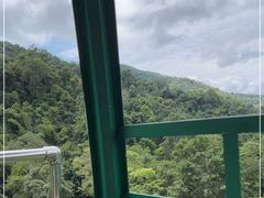 -野象谷景区