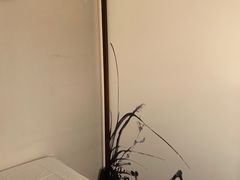 -仰生如卉推拿养生馆(酒仙桥店)