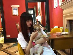-猫色咖啡·猫咖