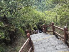 -广州白江湖森林公园