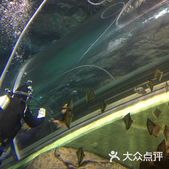 上海海洋水族館