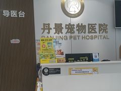 -丹景宠物医院·全科·老年病·牙科(武昌诊疗中心)