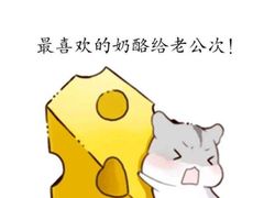-老新隆牛肉锅贴(新街口店)