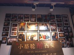 -福苗小骆驼烧烤(莲湖路店)