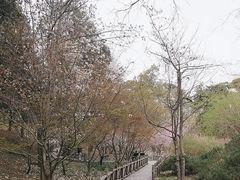 -香山公园