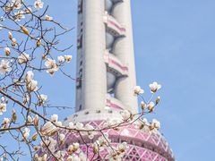 -上海港国际客运中心