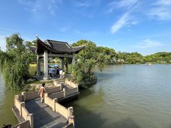 -八大山人梅湖景区