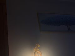 -鸥迪足道(湖南示范店)