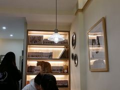 -滚猫咖啡·猫咖·猫友好撸猫(未来城店)