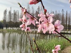 -艾溪湖湿地公园