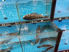 -清水日本料理铁板烧(学府路店)