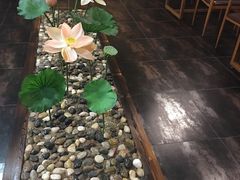 -素心斋素食餐厅