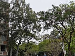 -厦门大学(思明校区)
