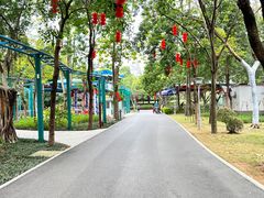 -金花茶公园