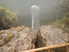 -龙苍沟森林公园