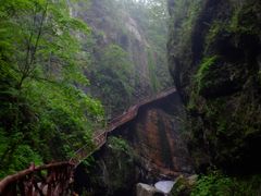 -鹿院坪生态旅游景区
