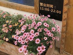 门口的花-陀岗美食·云南藏式特色餐厅