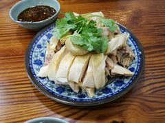 -九斤黄三黄鸡专卖店