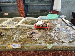 -大京园海鲜烧烤(东城路店)