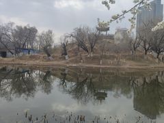 -青城公园