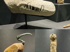 -遇见博物馆(遇见海洋沉浸式奇幻光影展)