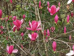 -广州市流溪河国家森林公园