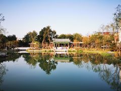 -首都医科大学宣武医院