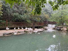 -云丘山景区