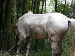 android_upload_pic-藏龙百瀑风景区