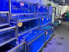 -八仔大富楼·河鲜(西江店)