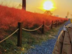 -汉长安城未央宫国家考古遗址公园