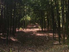 -同里国家湿地公园