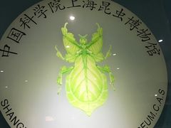 -上海昆虫博物馆