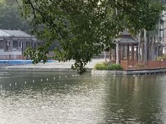 -荔湾湖公园