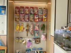 -瑞派·关忠动物医院·猫专科·犬专科(三环新城店)