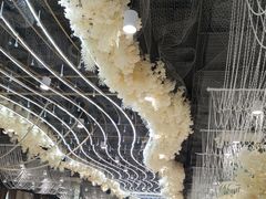 -金筷子·喜事汇