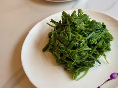 炝拌丝瓜尖-鸿宾楼(展览馆路店)