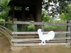 -田园东方蜜桃村的田野营地