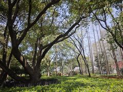 -徐家汇源景区-衡山公园