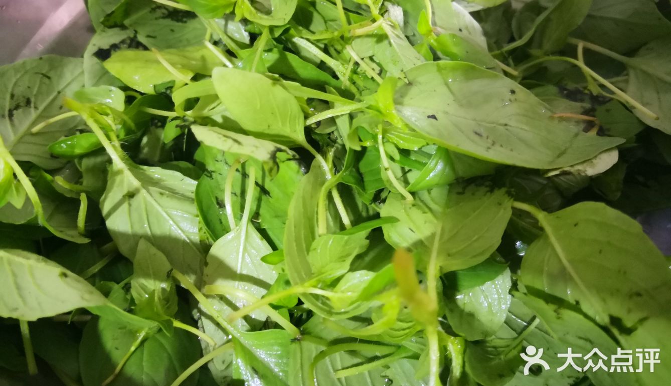 家常凉拌菜系之超好吃的黄瓜拌荆芥