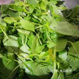 家常凉拌菜系之超好吃的黄瓜拌荆芥