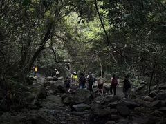 -马峦山郊野公园
